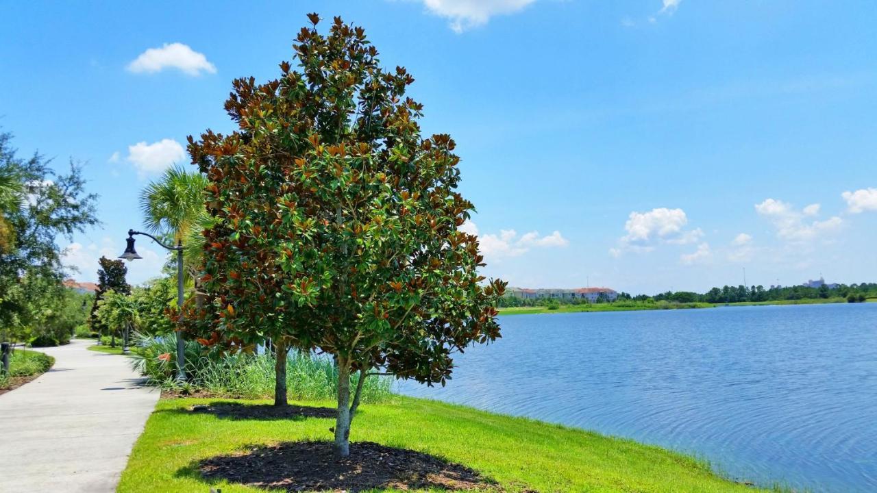 Stunning Top-Floor Condo, Next To Clubhouse Orlando Bagian luar foto